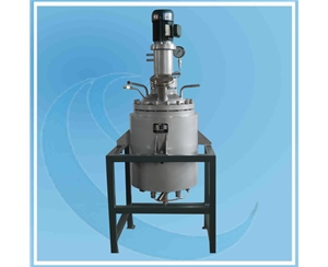 上海Hydrogenation Reactor