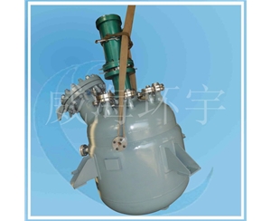 上海Hydrogenation Reactor